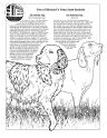 Historical Dog and Wonder Dog Coloring Page