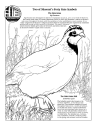 State Game Bird and State Grass Coloring Page