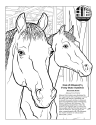 State Horse Coloring Page