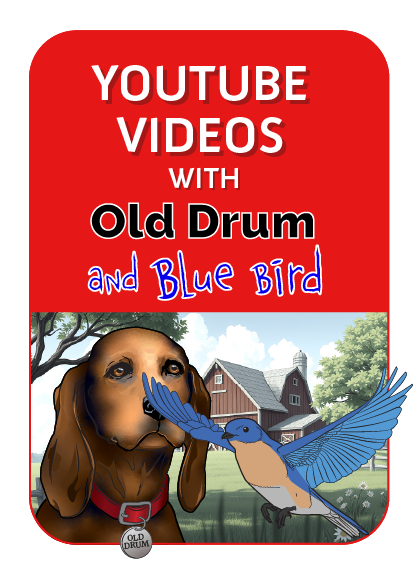 Video with Old Drum and Blue Bird.png