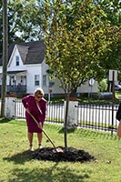 Flickr album link to First Lady Parson planting a cherry tree