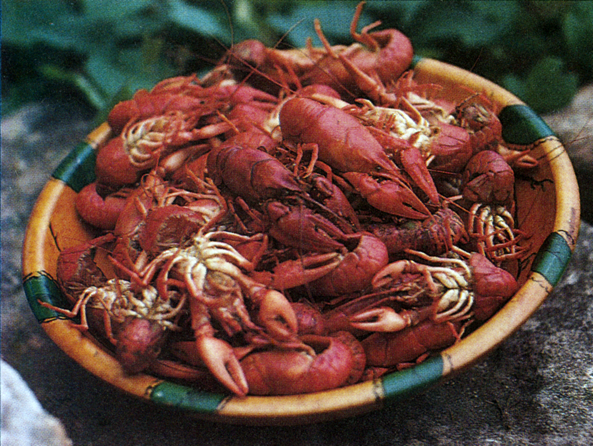 symbols/RG103_IntroToCrayfish_p16_JoelVance_1987.jpg