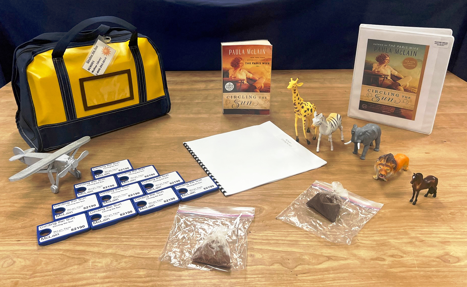 Circling the Sun activity pack