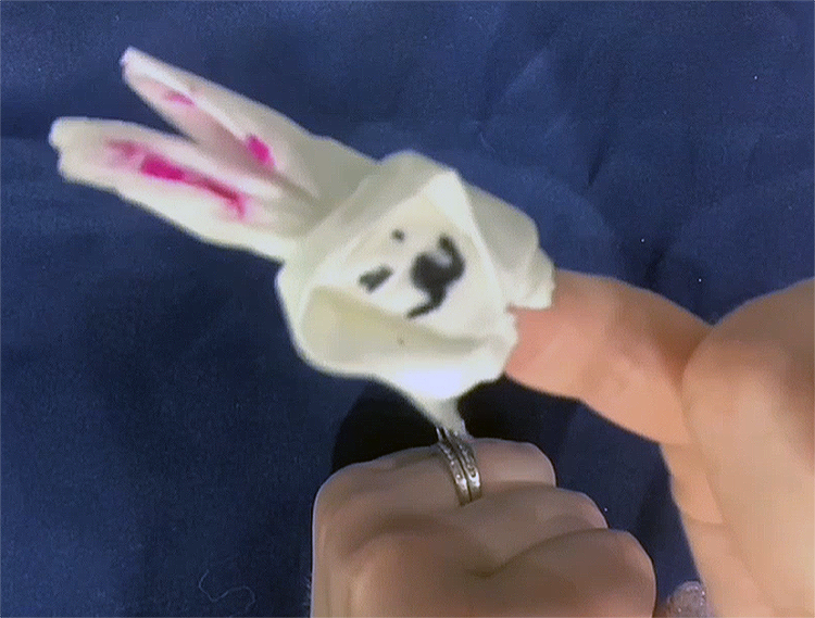 Craftphotos/BunnyFingerPuppet.png