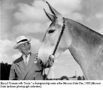 Harry Truman with 'Susie,' a championship mule at the Missouri State Fair, 1955 (Missouri State Archives photography collection)